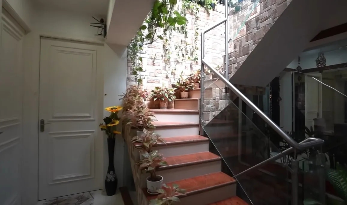 शक्ति मोहन