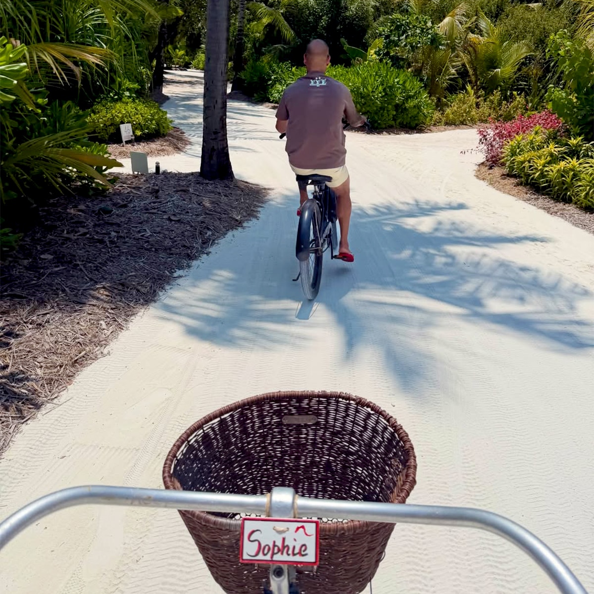 Shikhar Dhawan honeymoon