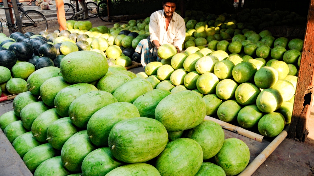  तरबूज की कीमतों में अचानक गिरावट