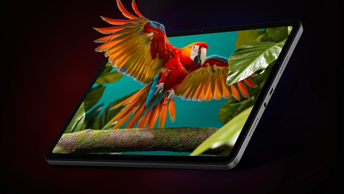 सस्ते मिल रहे हैं पैड 