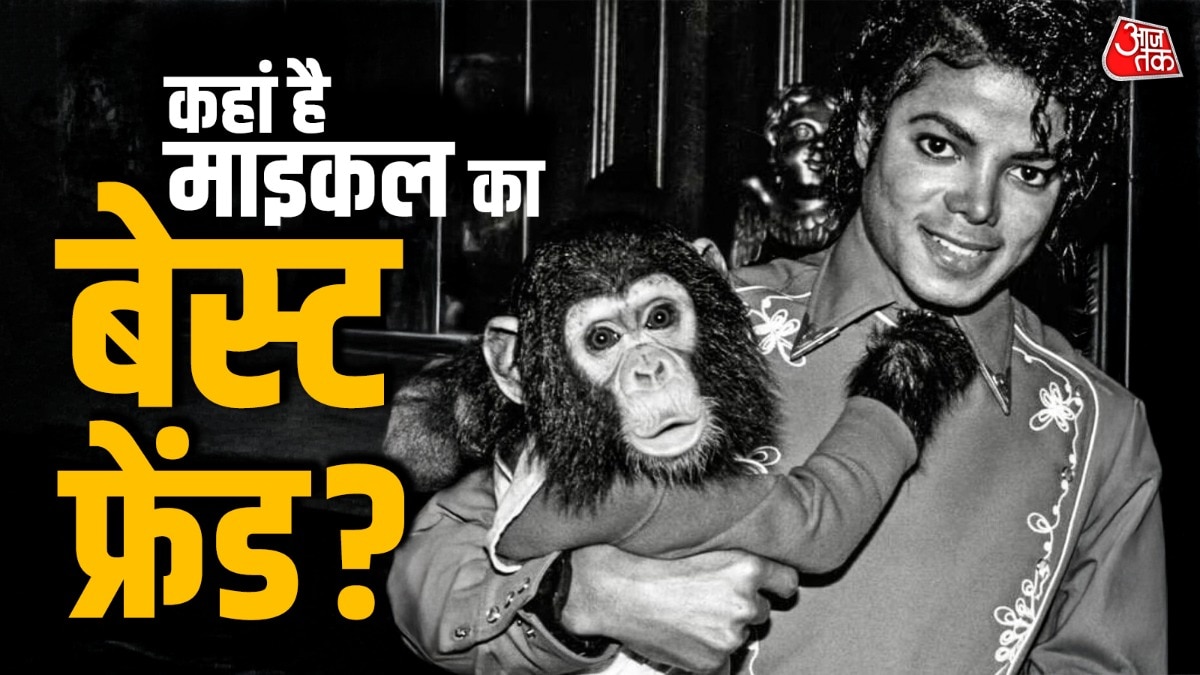 Where is michael jackson pet chimpanzee bubbles?