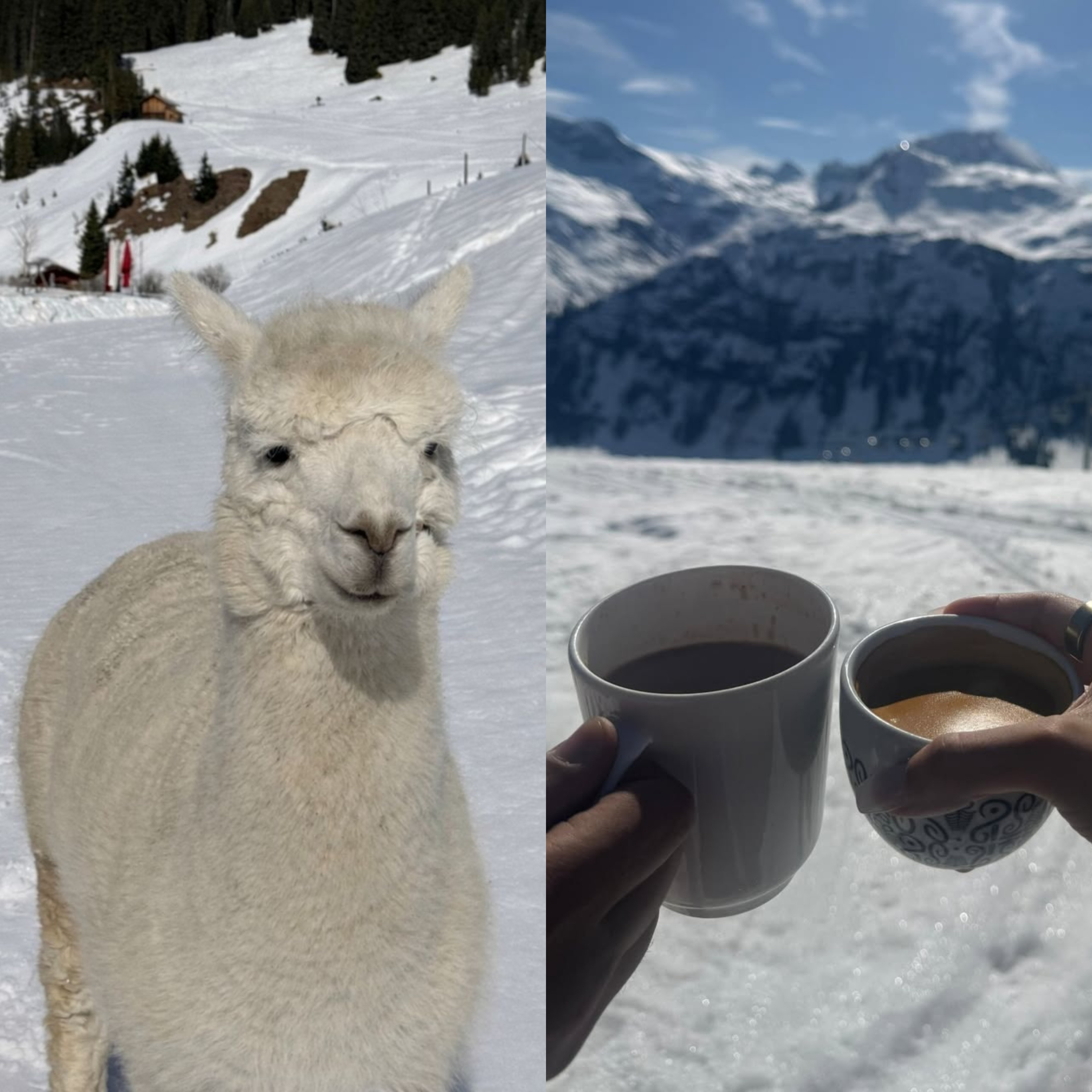 आलिया-रणबीर का सीक्रेट वेकेशन (Photo: Instagram/@aliaabhatt)