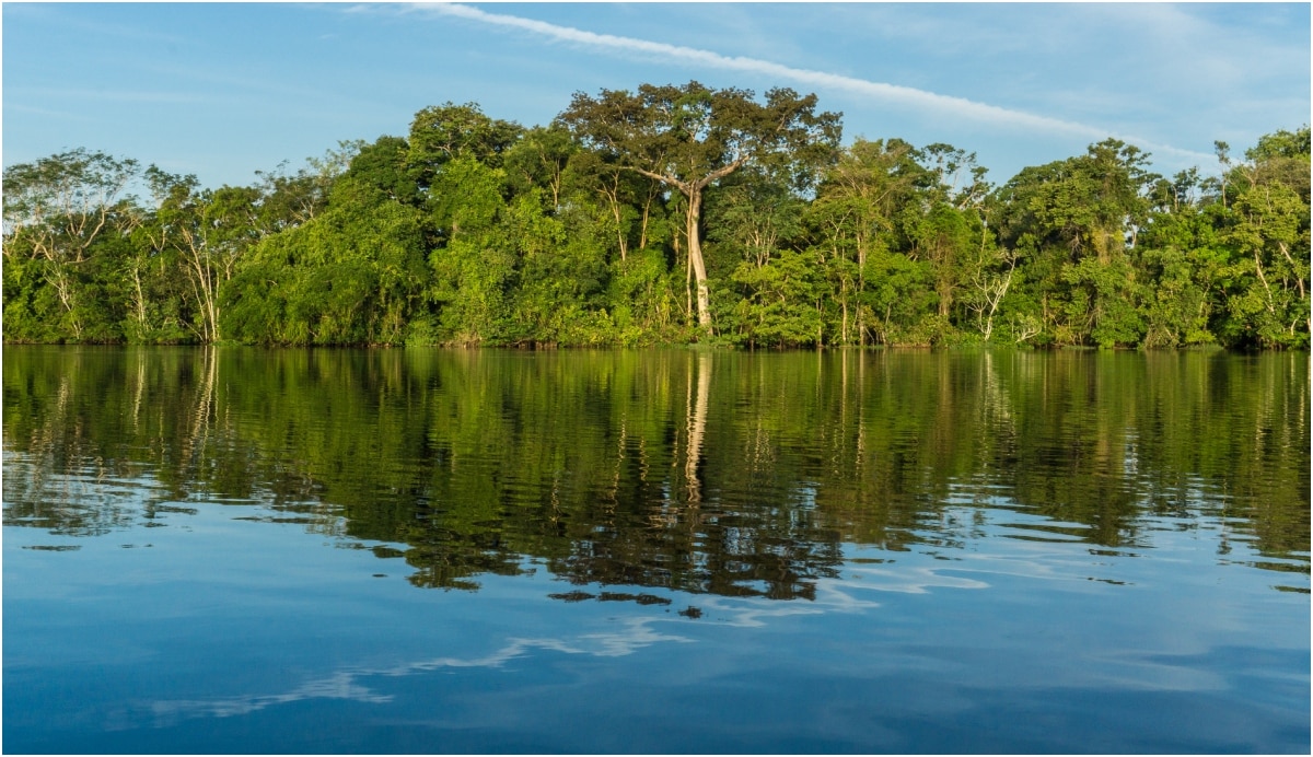 amazon river no bridge mystery