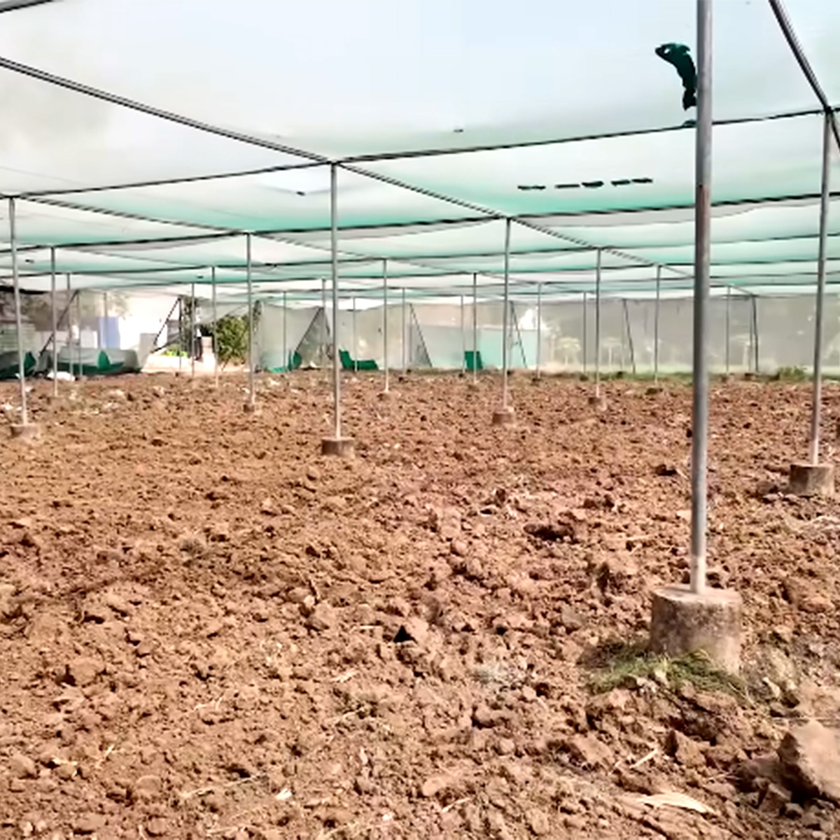 अंकित लोखंडे ससुराल