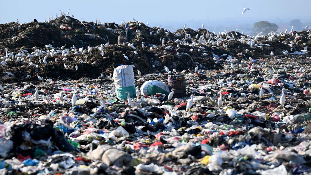 Bali Garbage Crisis