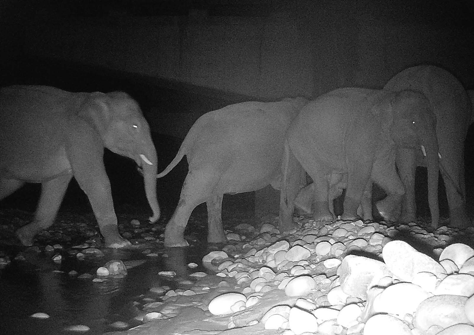 Delhi Dehradun Expressway (Photo- ITG)