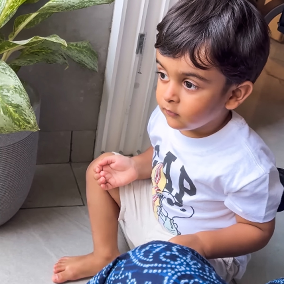   दीपिका कक्कड़