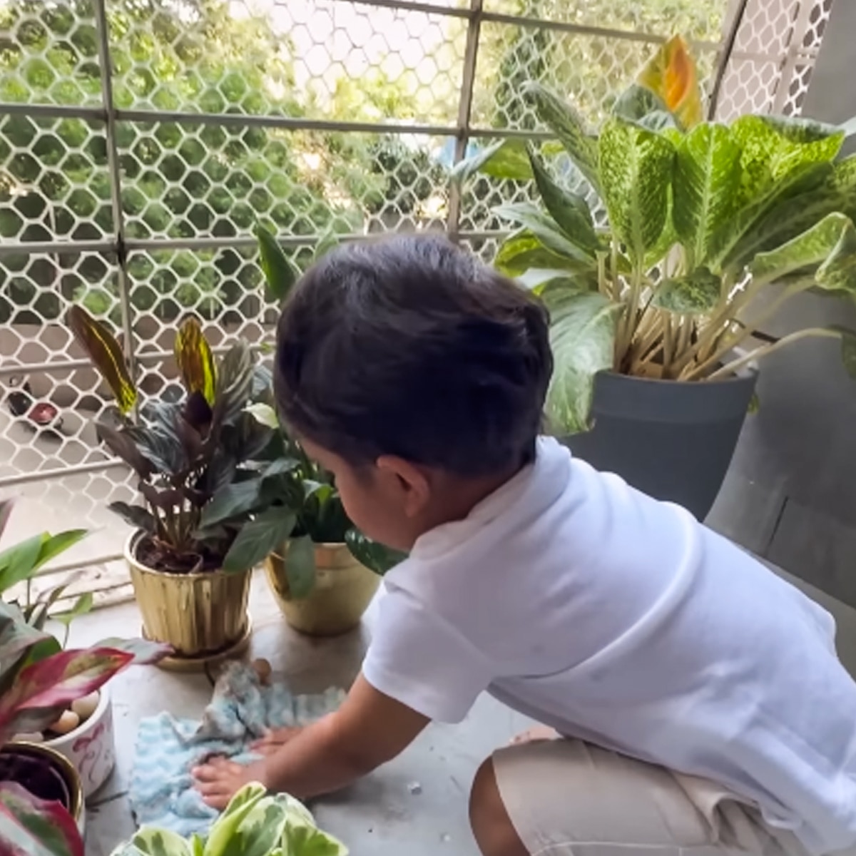   दीपिका कक्कड़