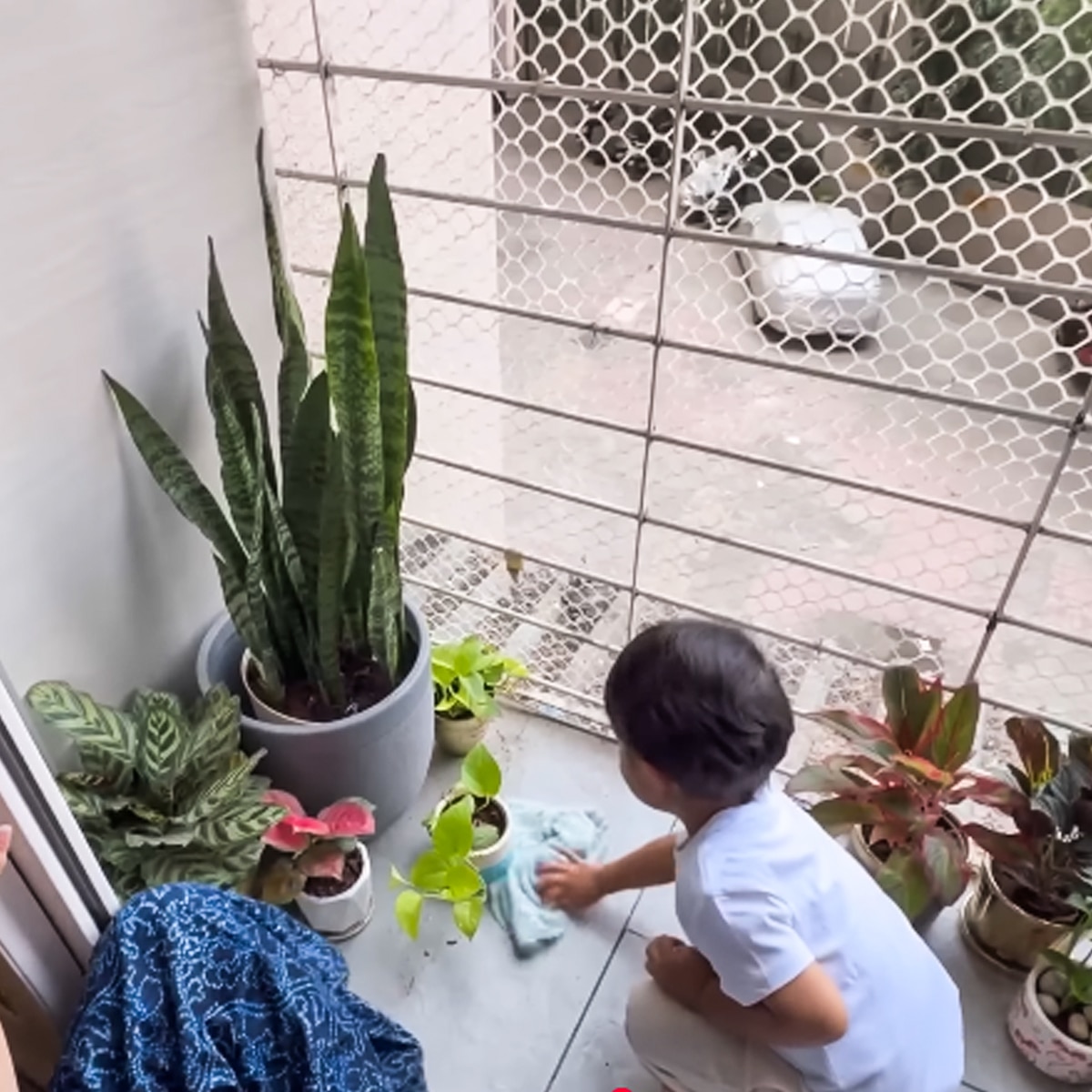   दीपिका कक्कड़