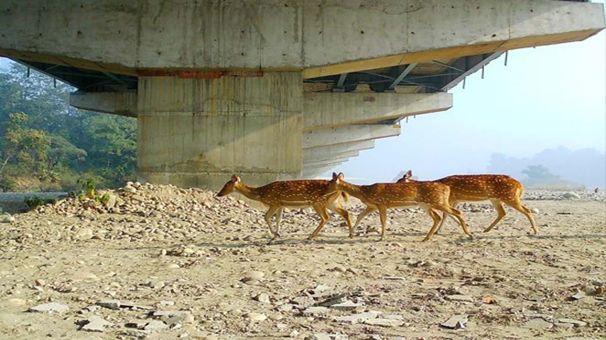 Delhi Dehradun Expressway (Photo- ITG)