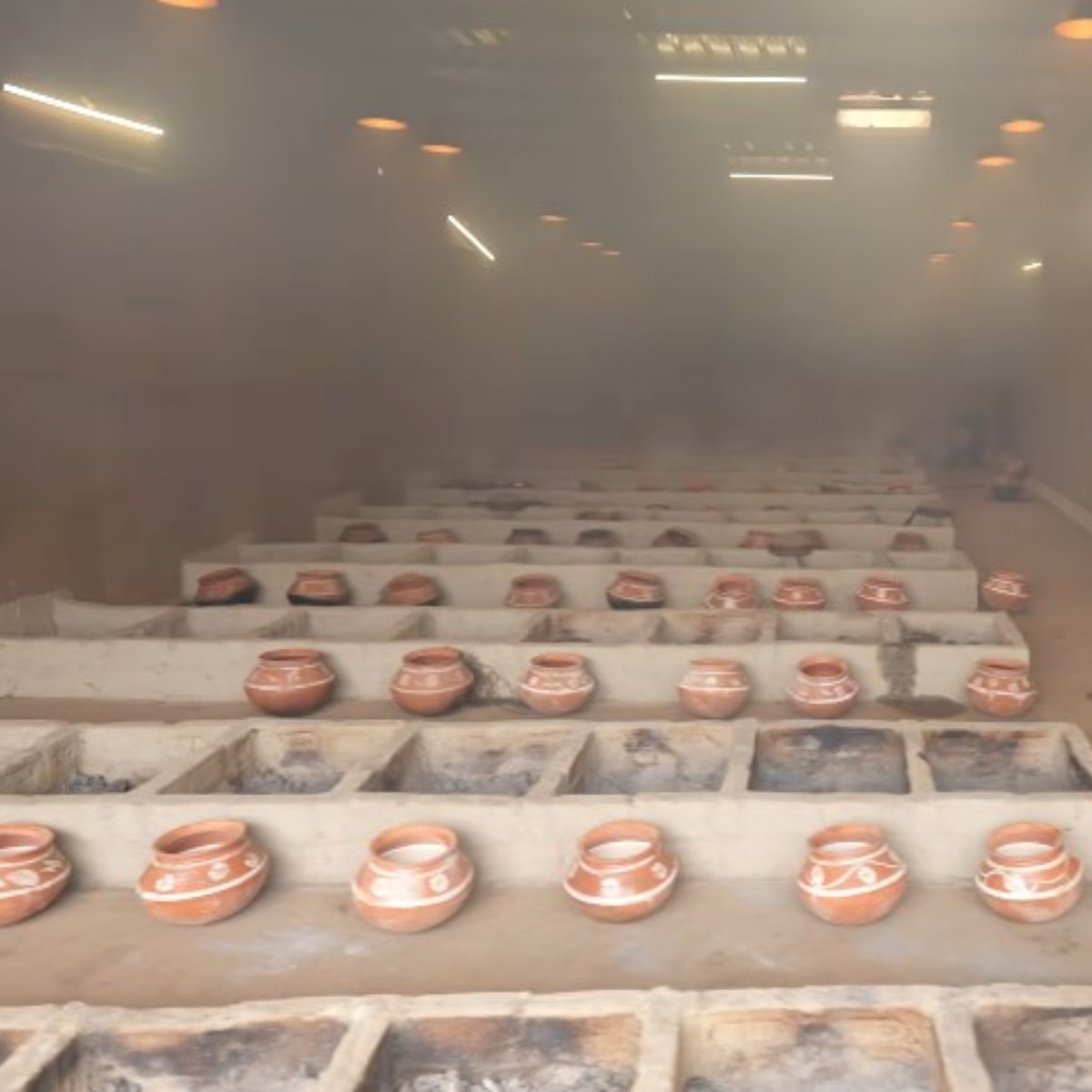 गौरव तनेजा का फार्म हाउस