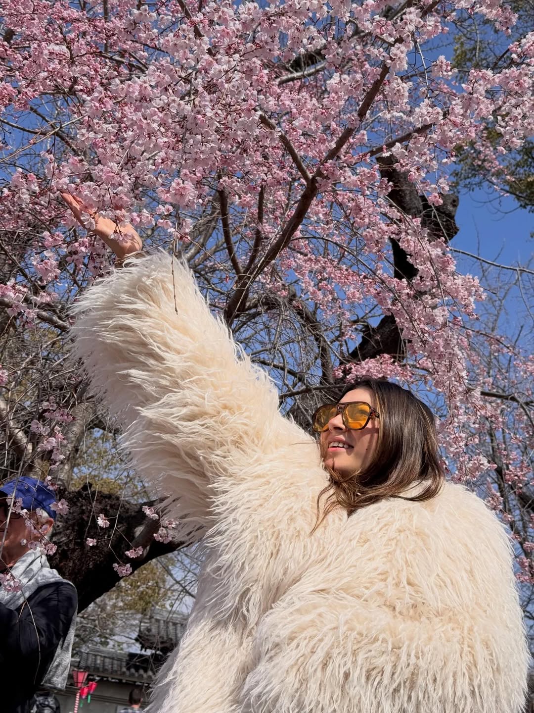 हंसिका मोटवानी