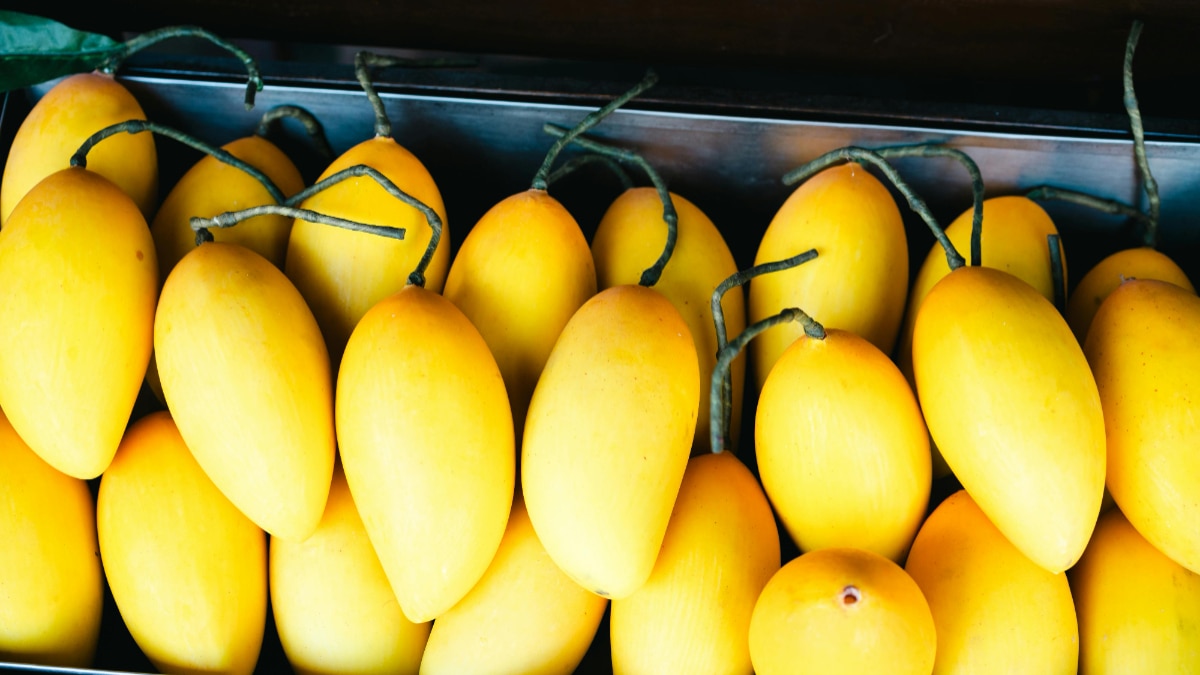 आम के पल्प से दबदबा