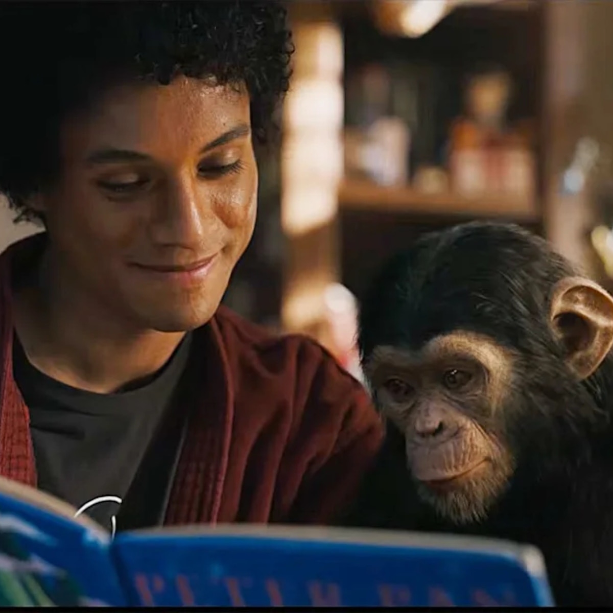कहां है माइकल जैक्सन का पेट चिम्पांजी?