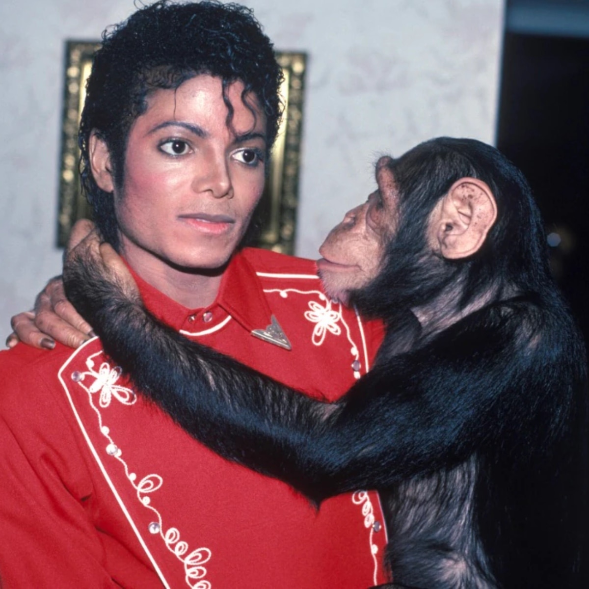 कहां है माइकल जैक्सन का पेट चिम्पांजी?