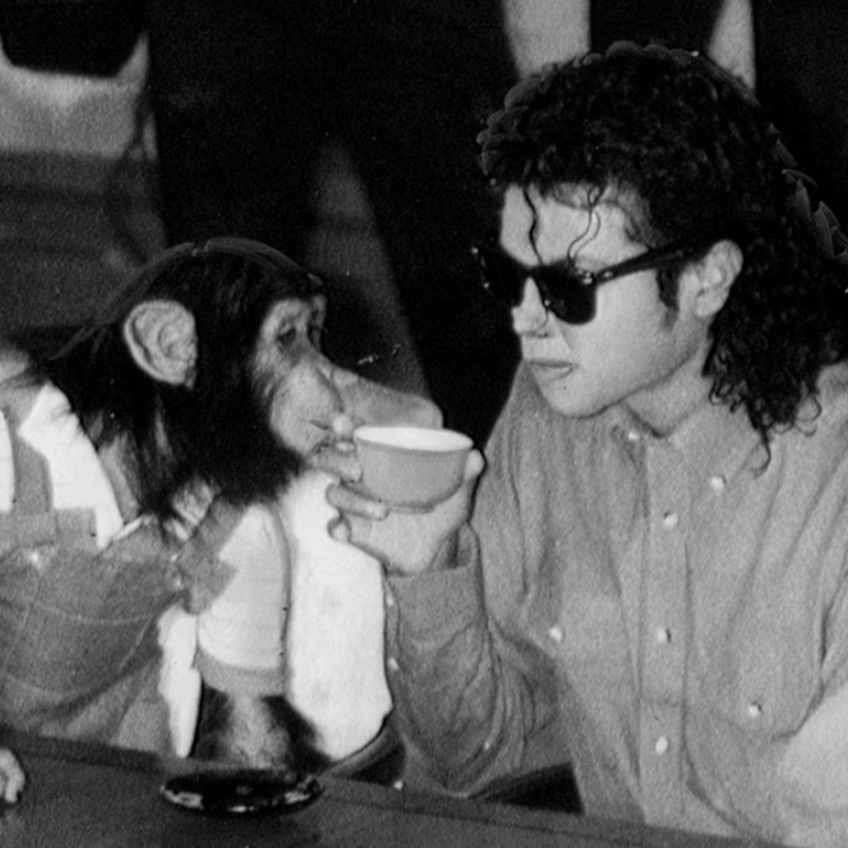 कहां है माइकल जैक्सन का पेट चिम्पांजी?