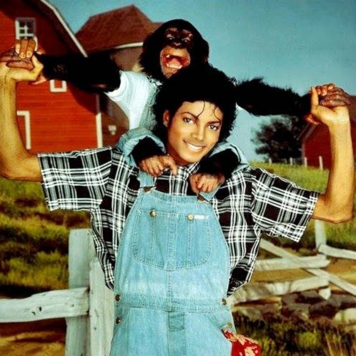 कहां है माइकल जैक्सन का पेट चिम्पांजी?