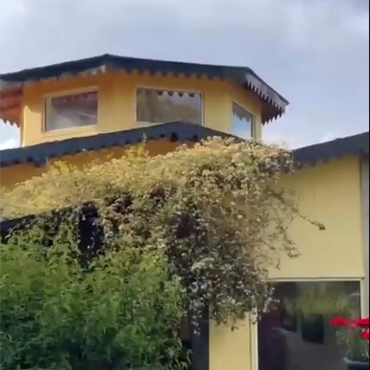 नीना गुप्ता