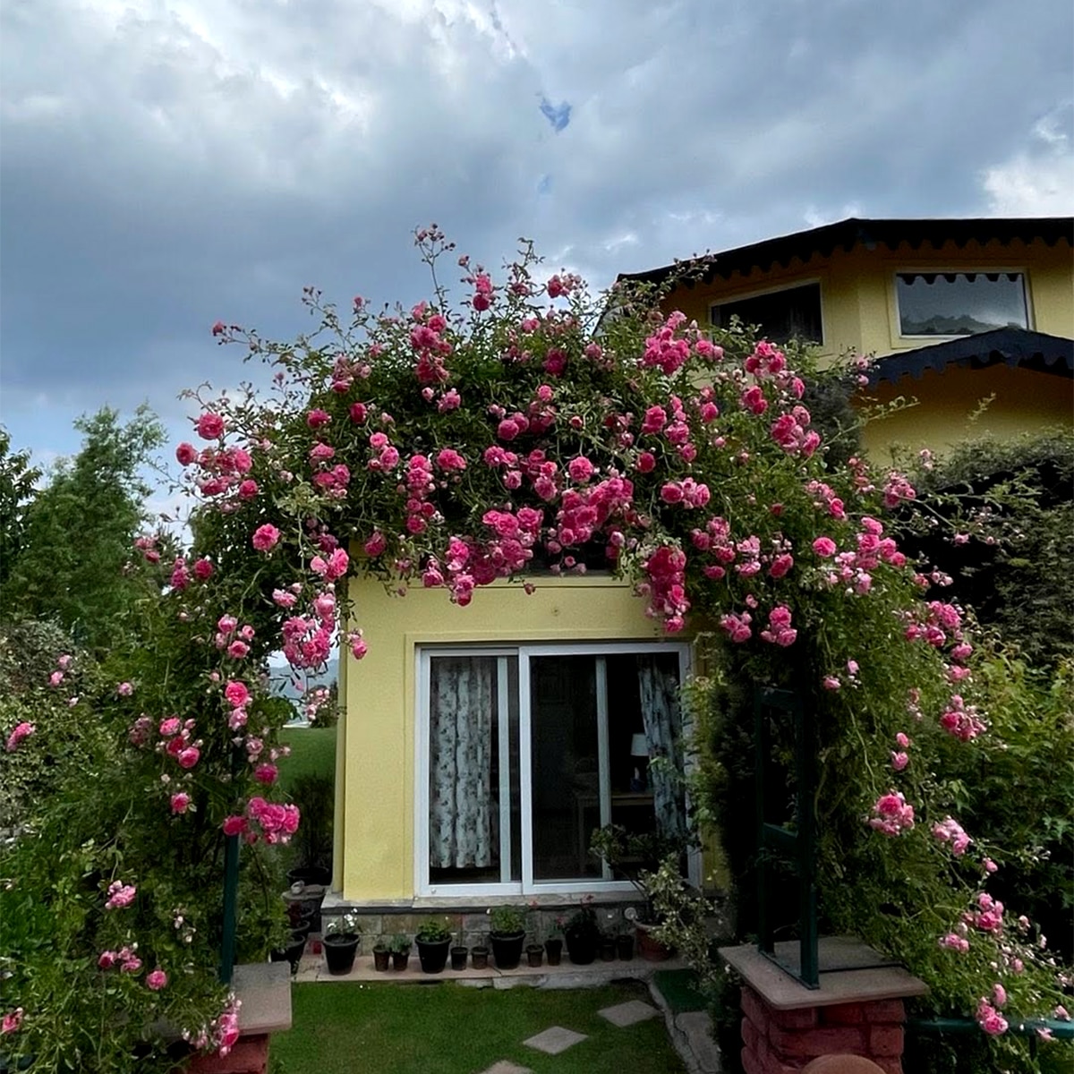 नीना गुप्ता