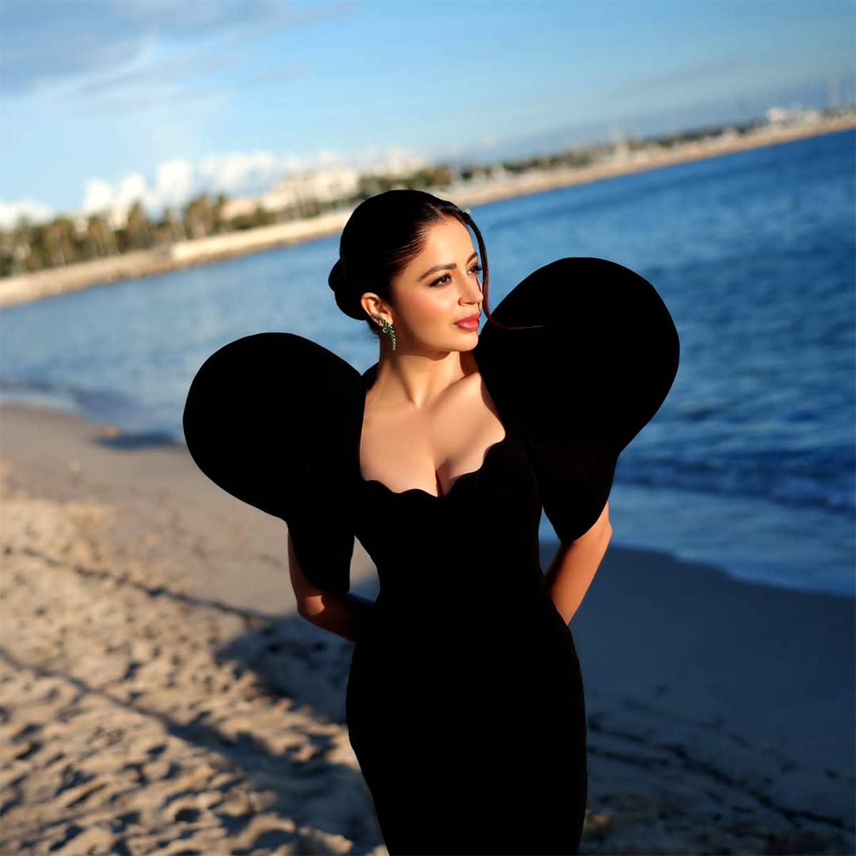 2 बार तलाकशुदा शख्स से नेहा पेंडसे ने रचाई शादी