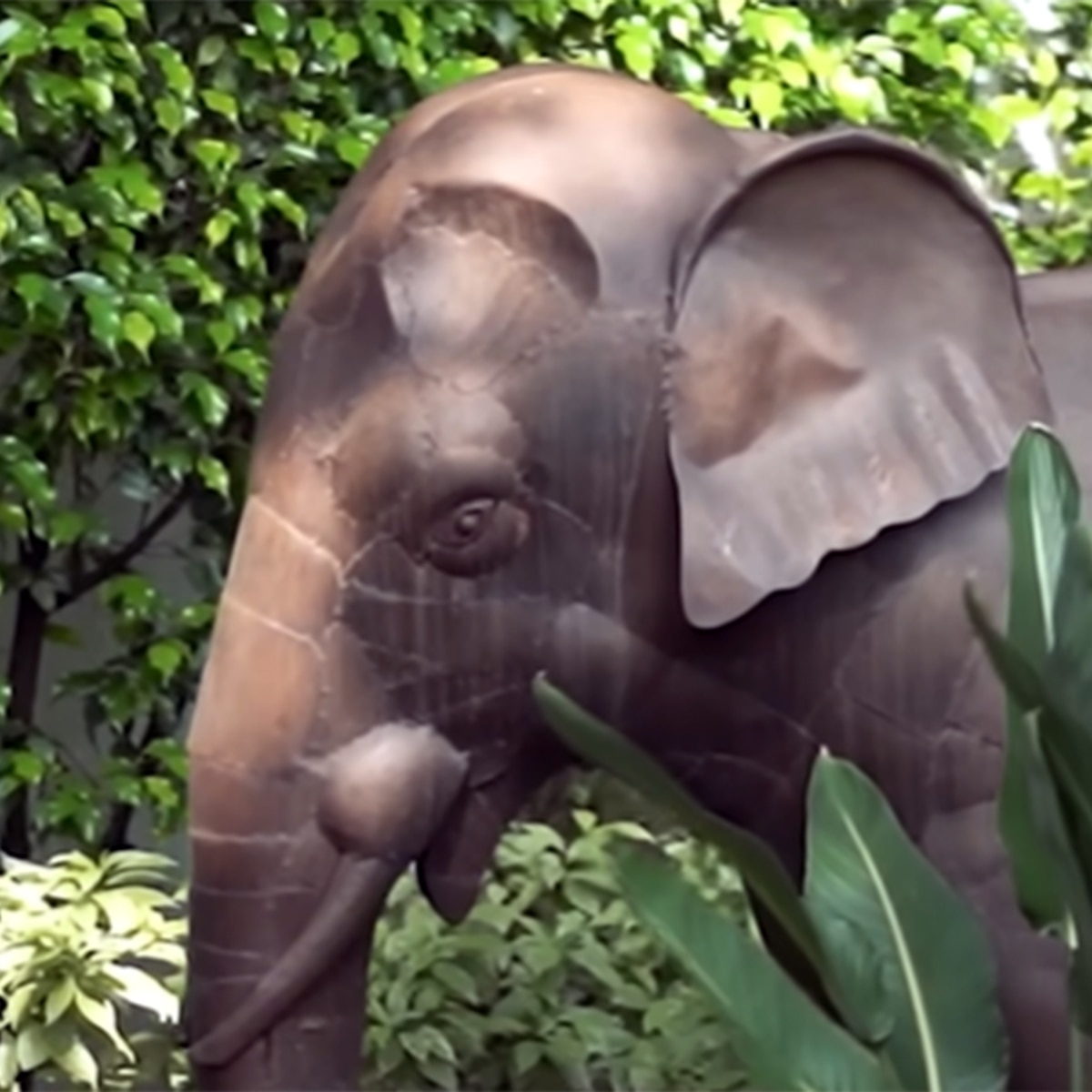 परिणीति-राघव का आलीशान घर