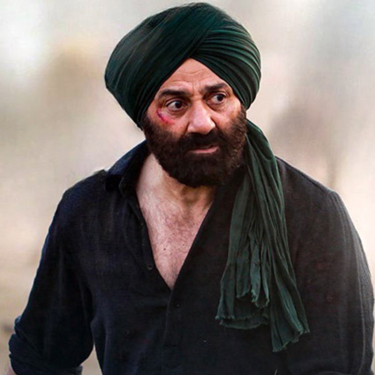 रामायण फिल्म