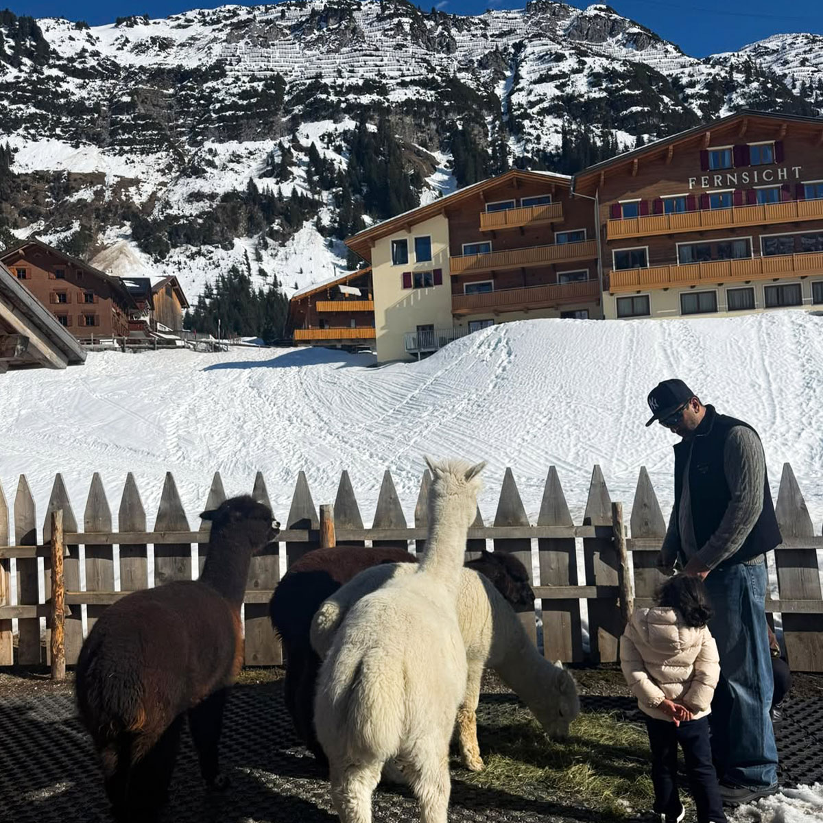 रणबीर-आलिया