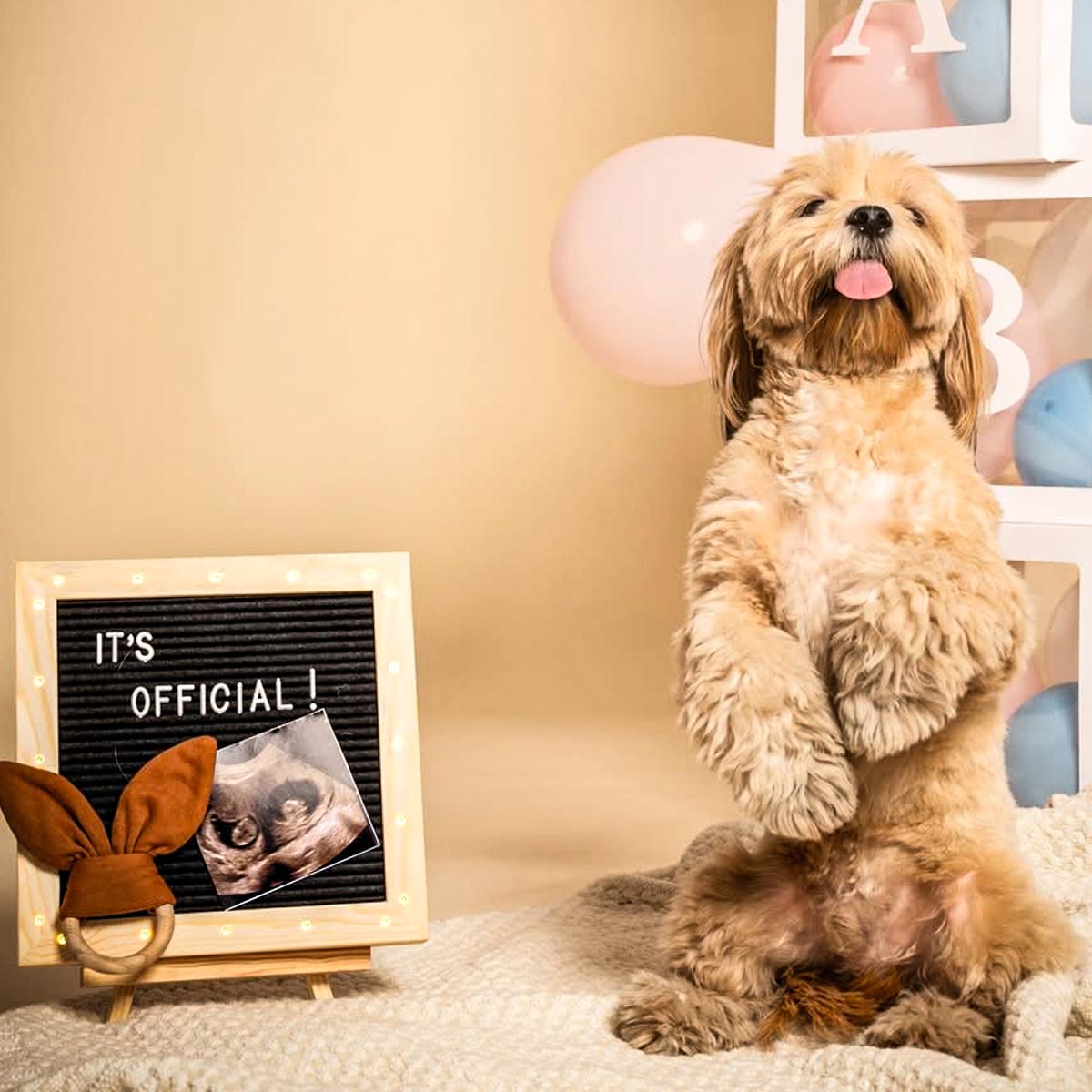 संभावना सेठ