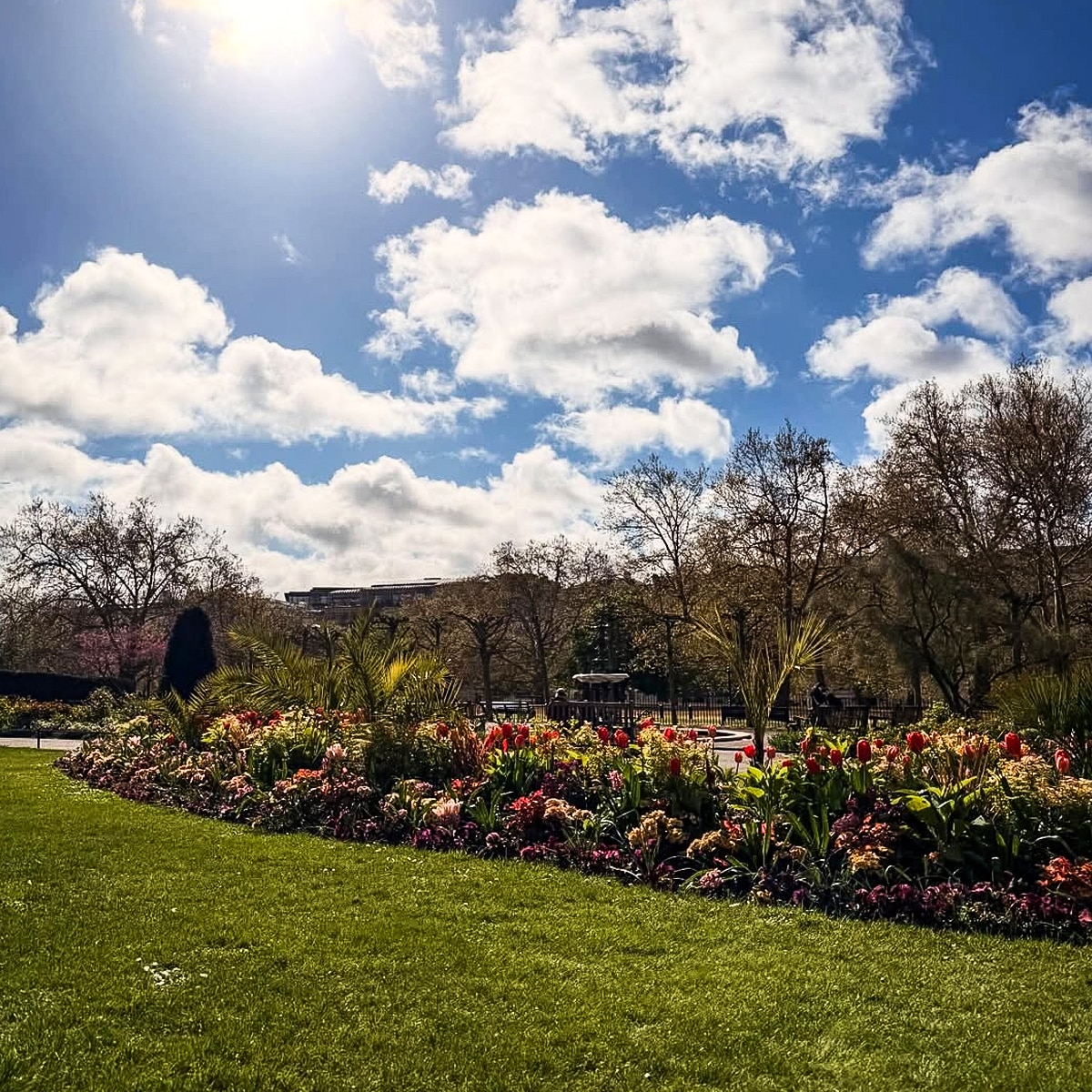 शाहीन भट्ट