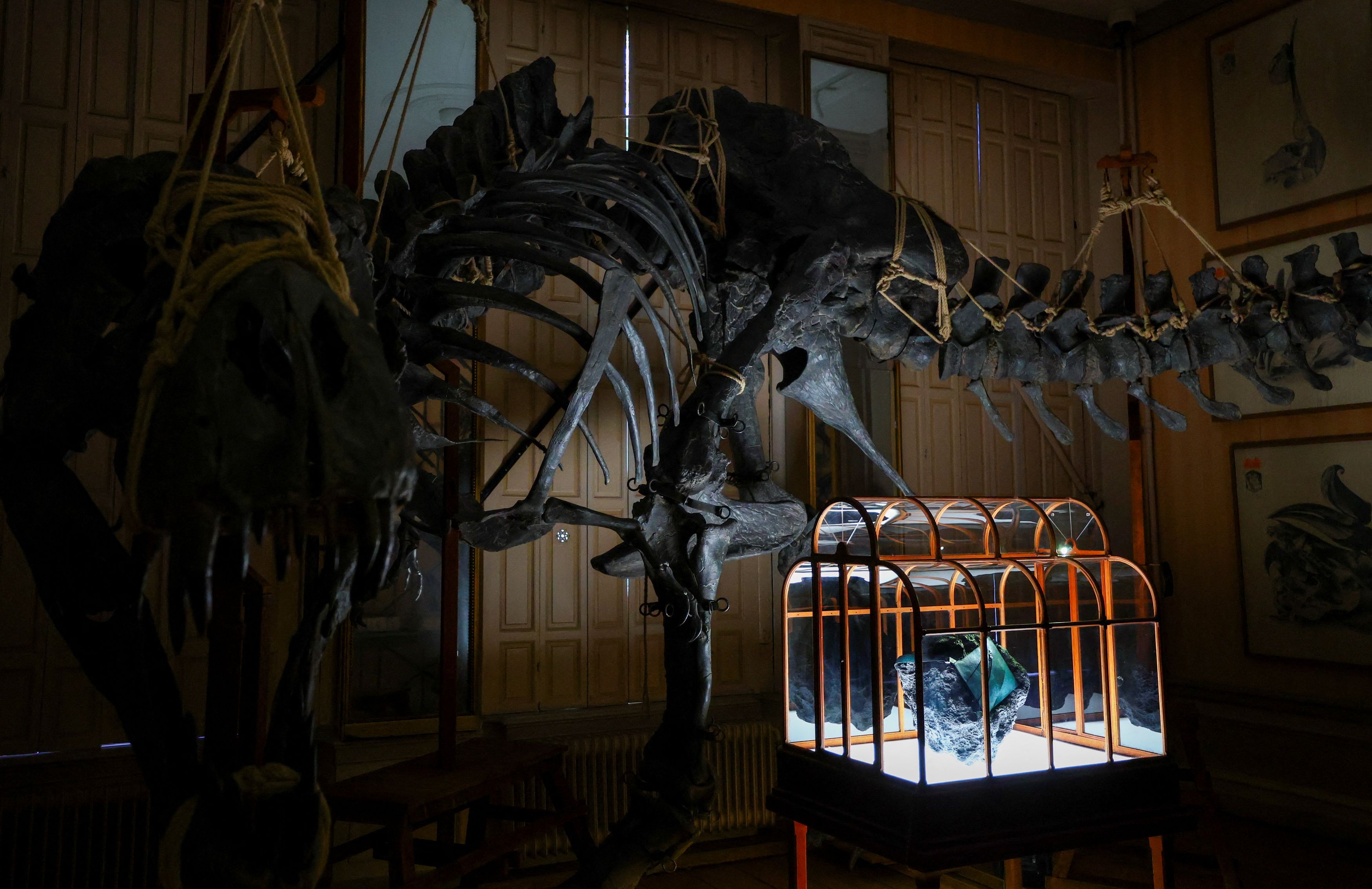 t rex leather handbag