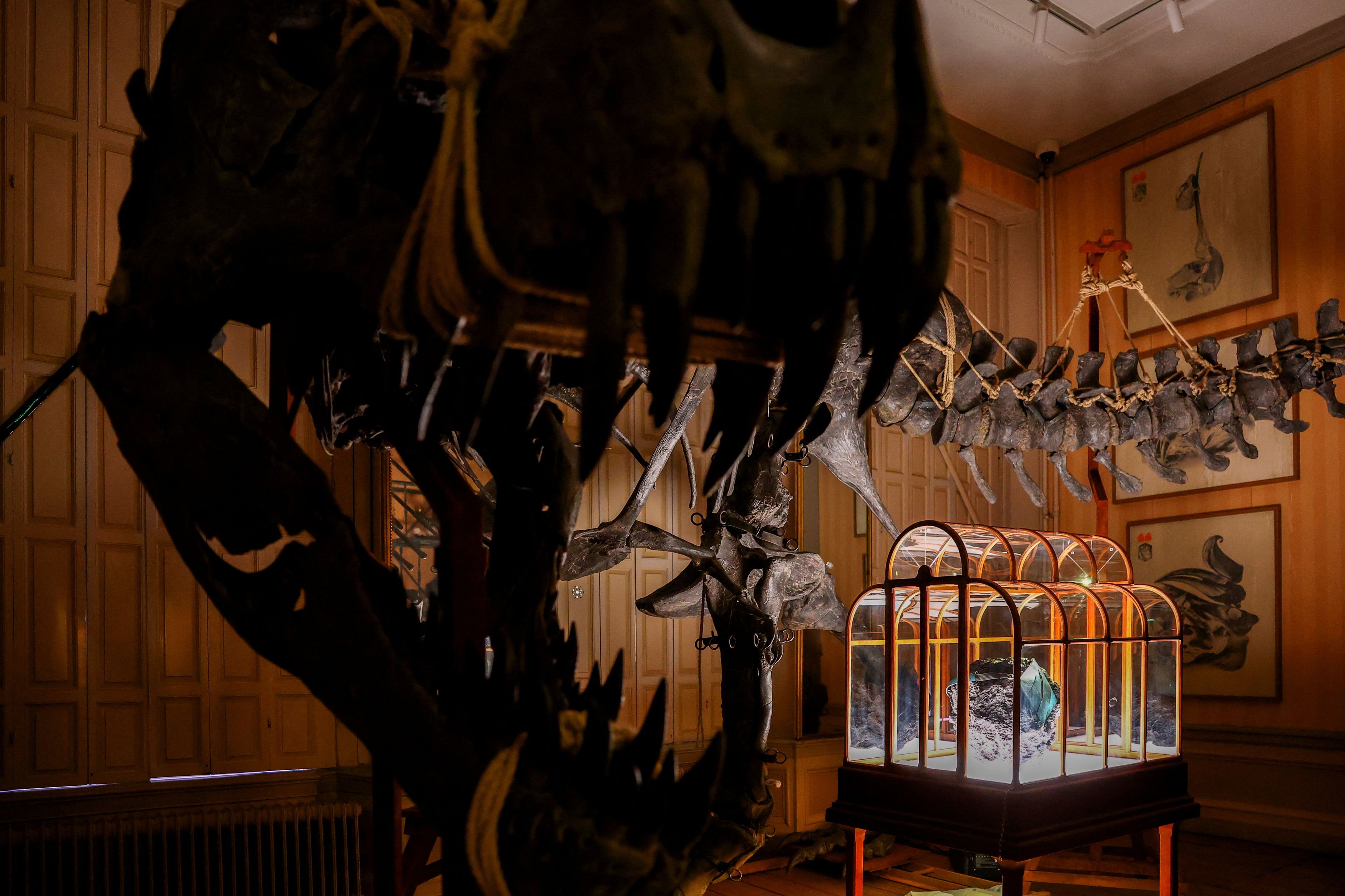 t rex leather handbag