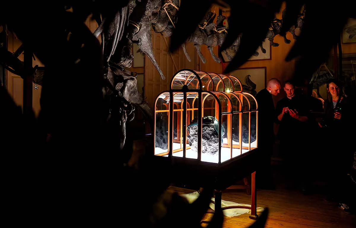 dinosaur leather handbag