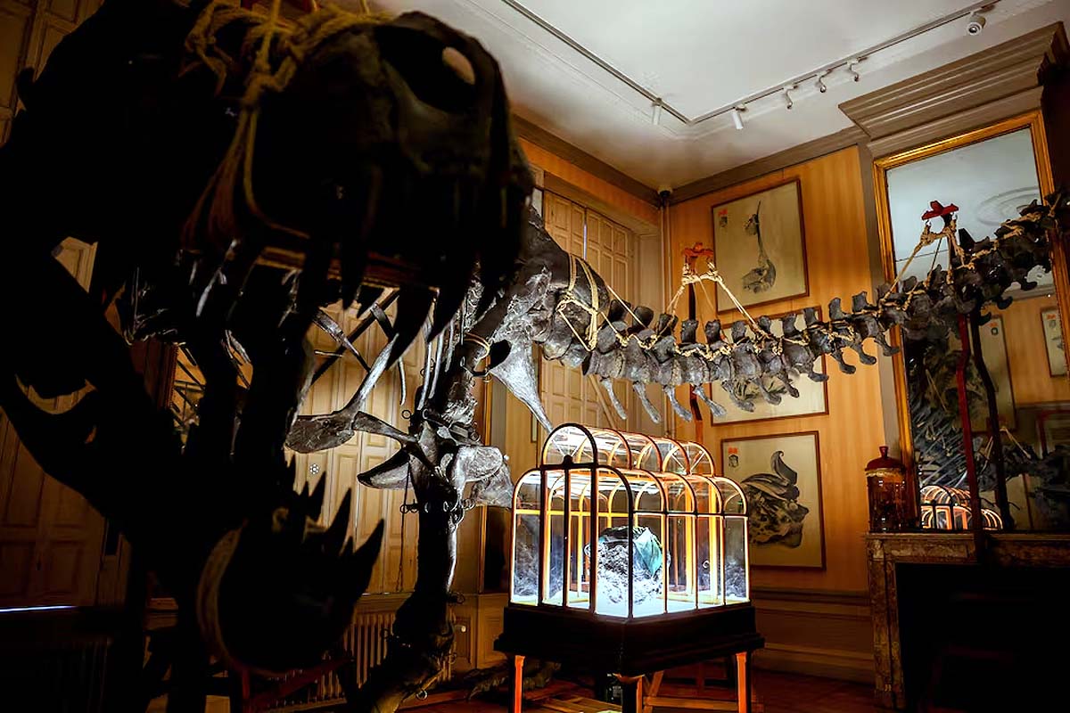 dinosaur leather handbag