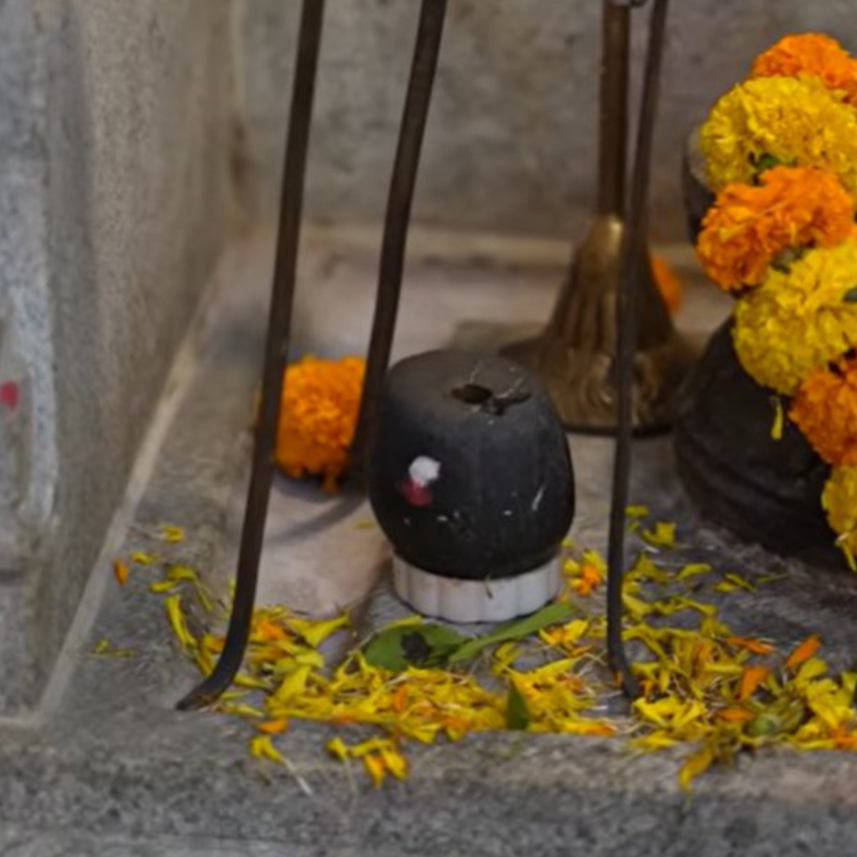 रेमो डिसूजा के घर में है दुनिया का सबसे छोटा शिवलिंग