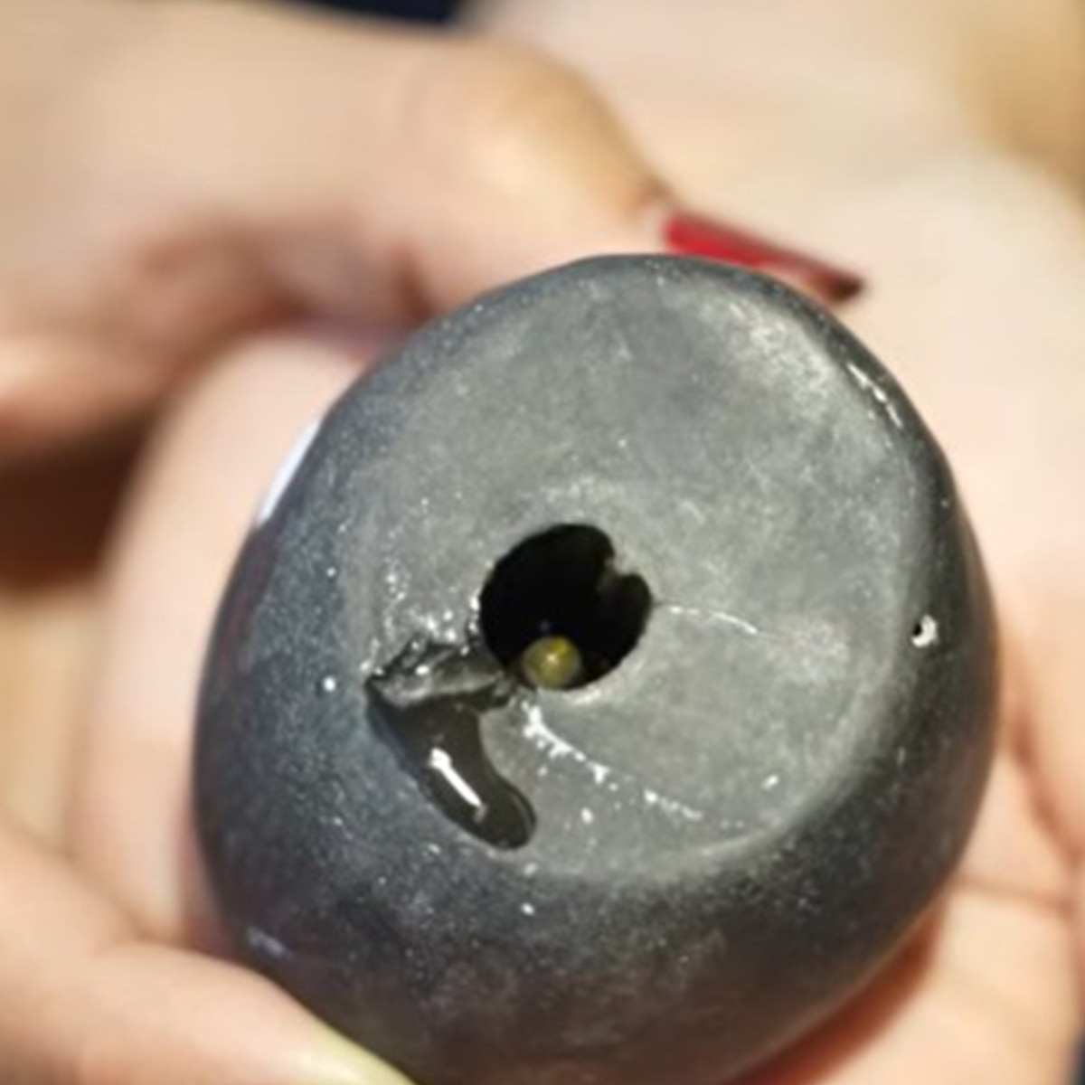 रेमो डिसूजा के घर में है दुनिया का सबसे छोटा शिवलिंग