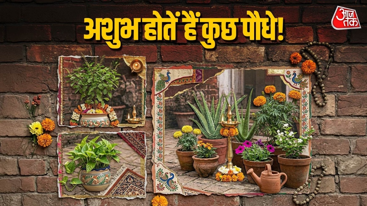 Vastu For Plants
