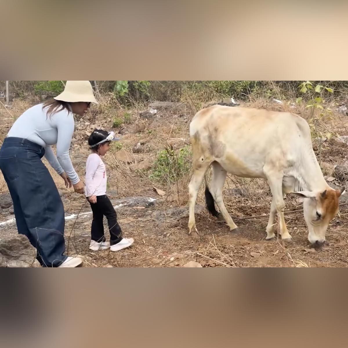 देबिना बनर्जी फार्महाउस