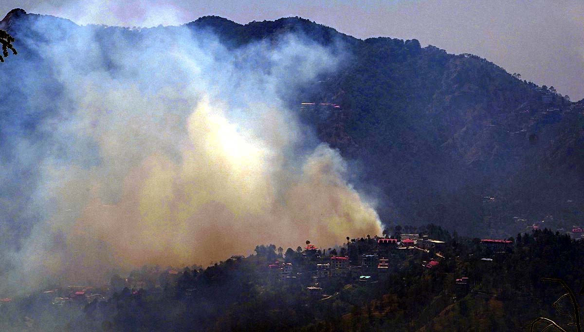 Himalayan wildfires