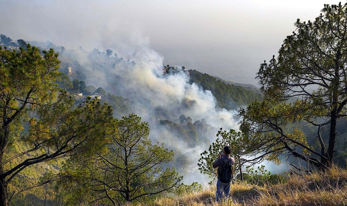 Himalayan wildfires