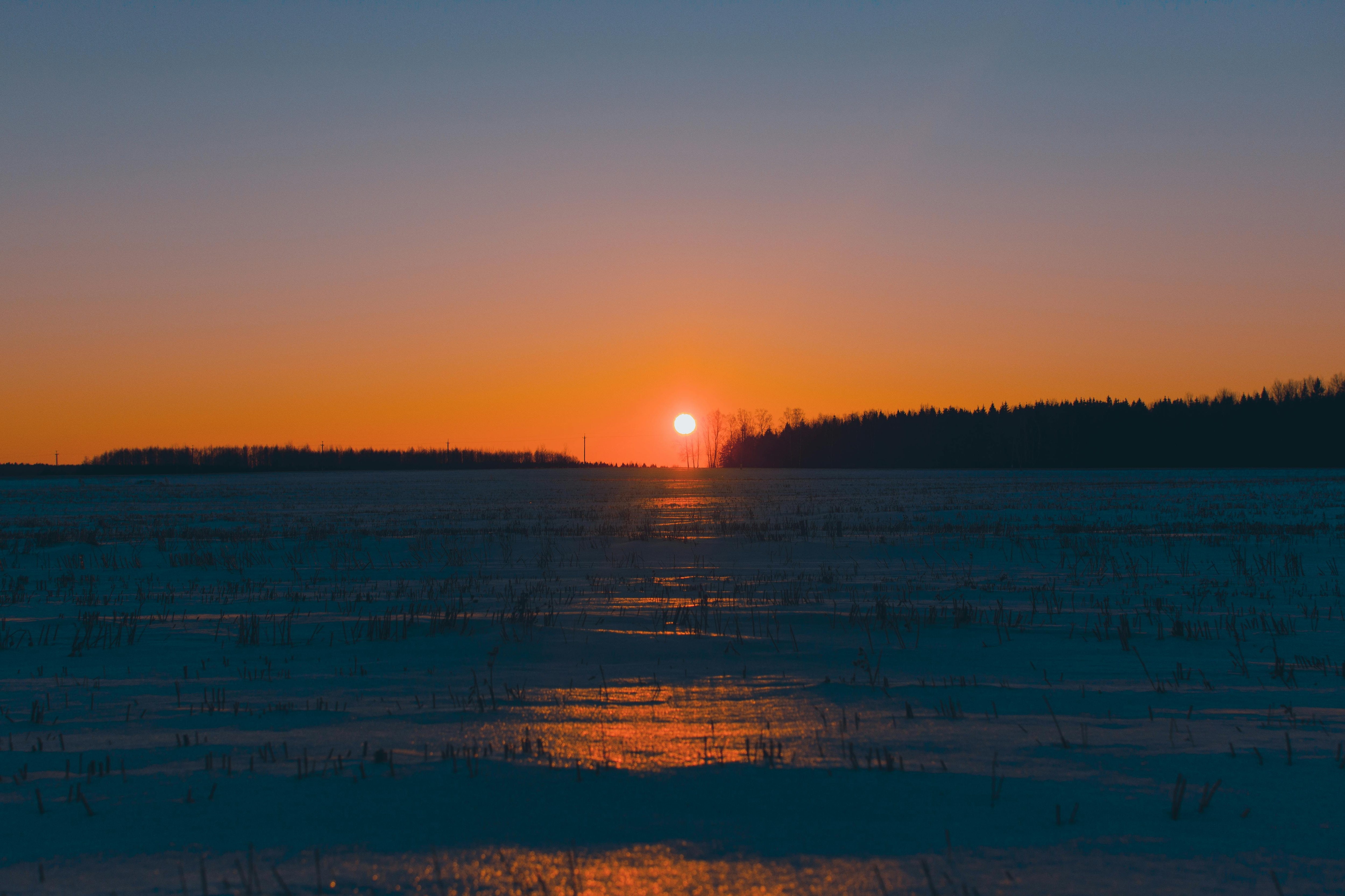 Photo: Pexels