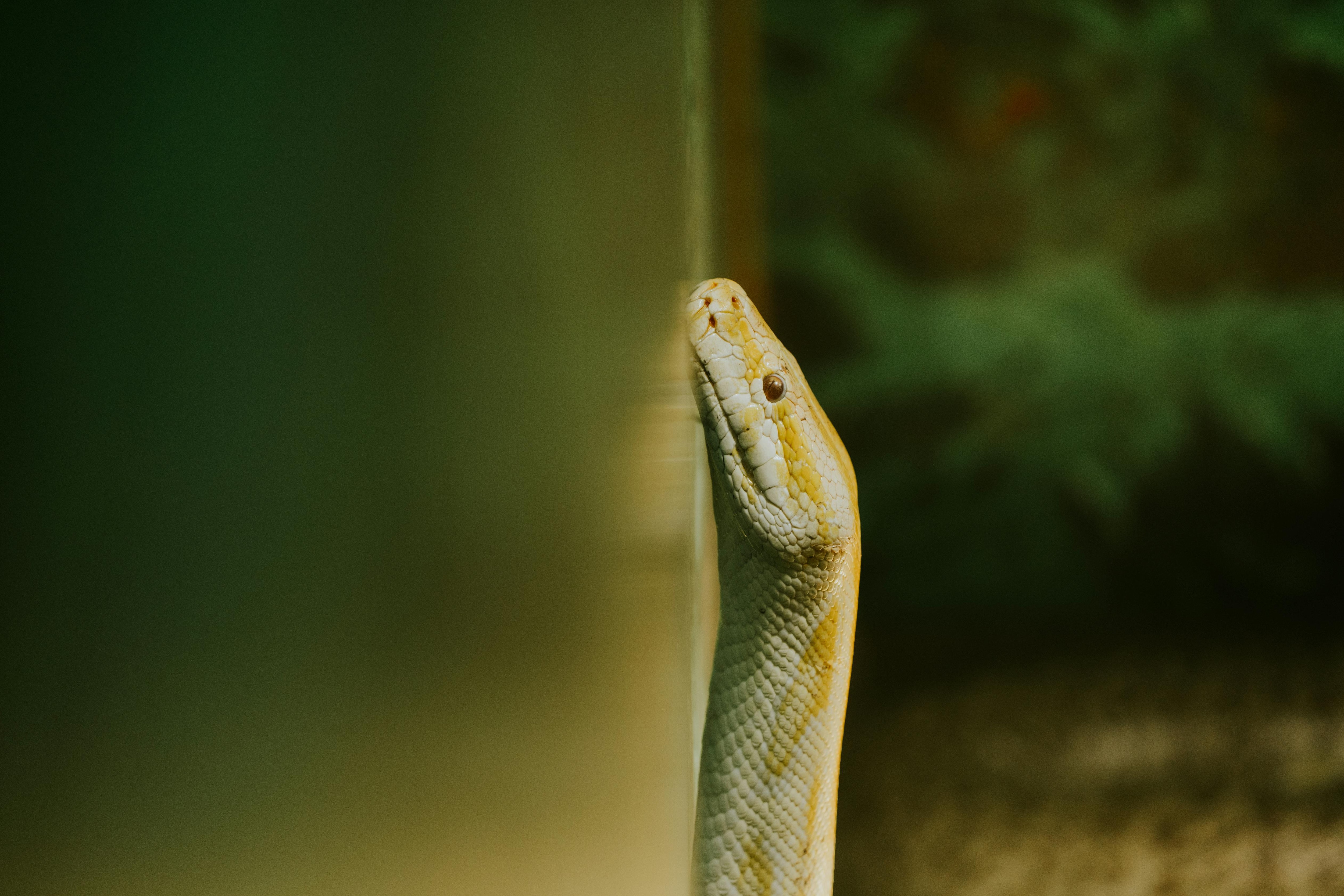 Photo: Pexels