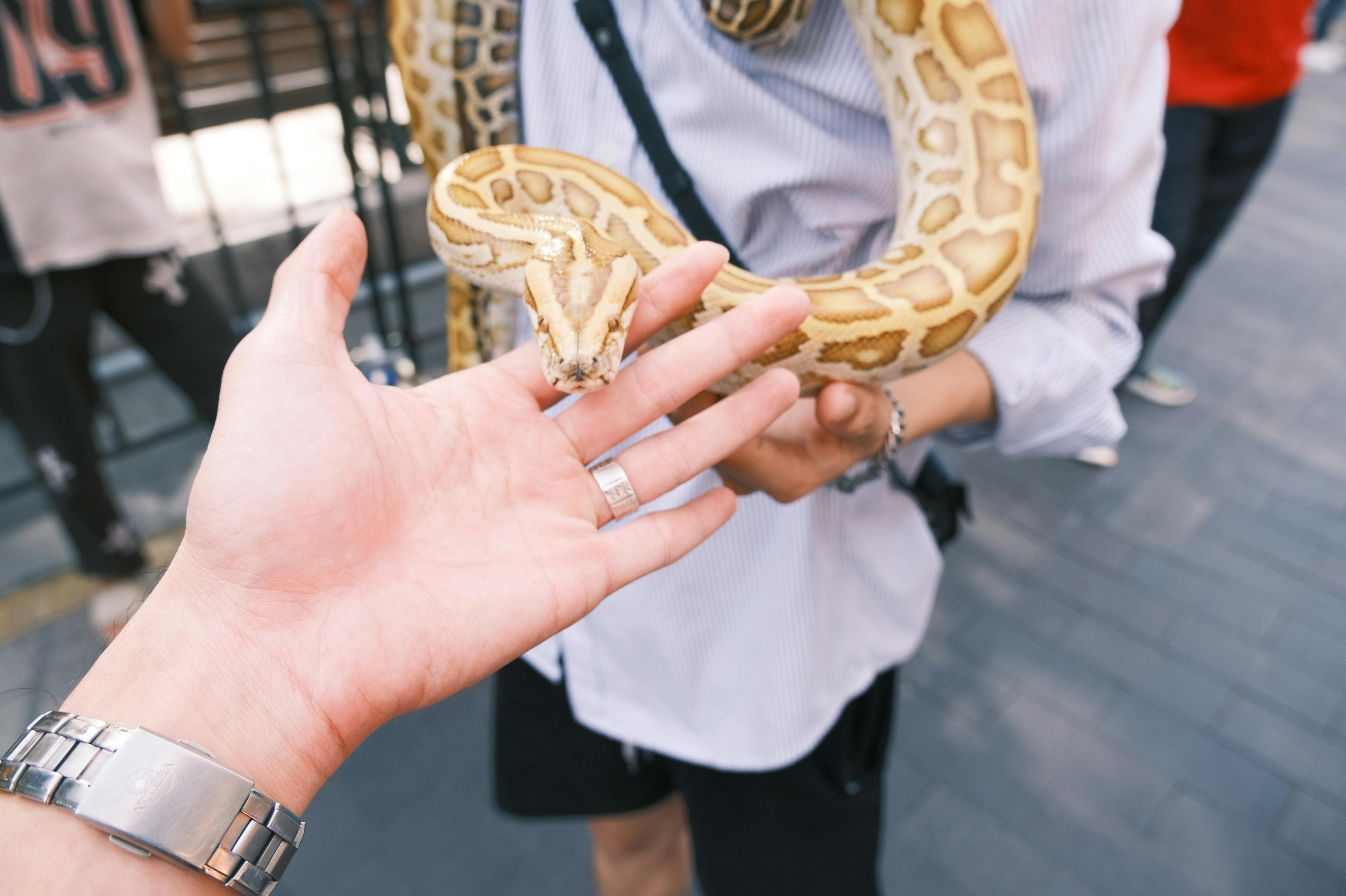 Photo: Pexels