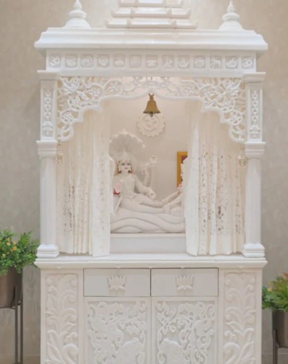 elvish yadav house vastu dosh