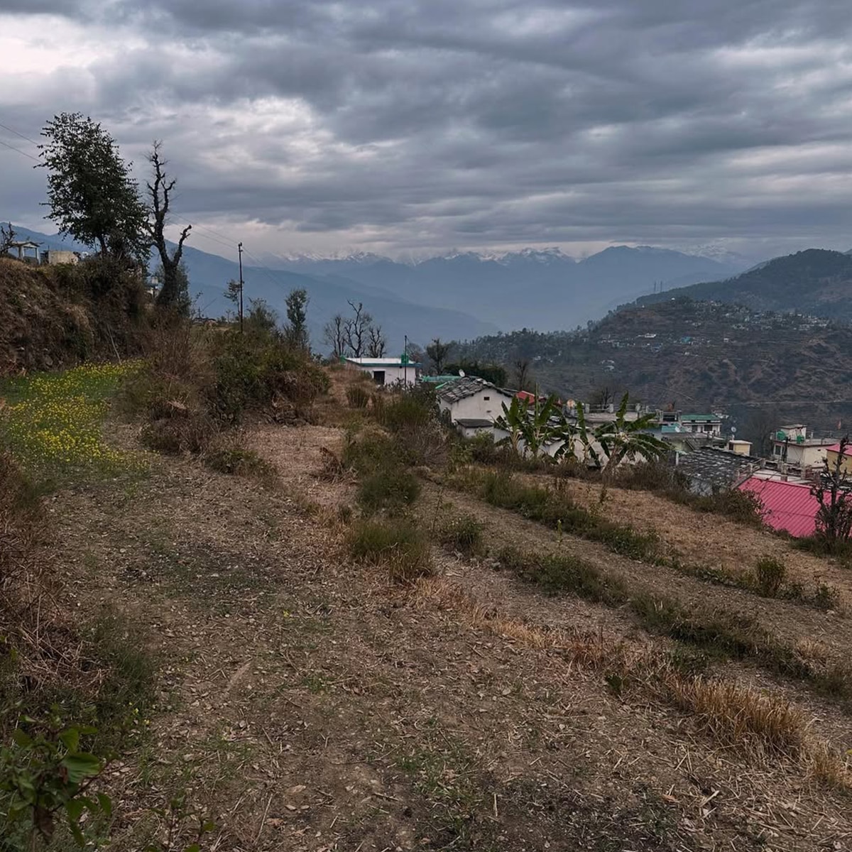 हिमानी शिवपुरी का घर