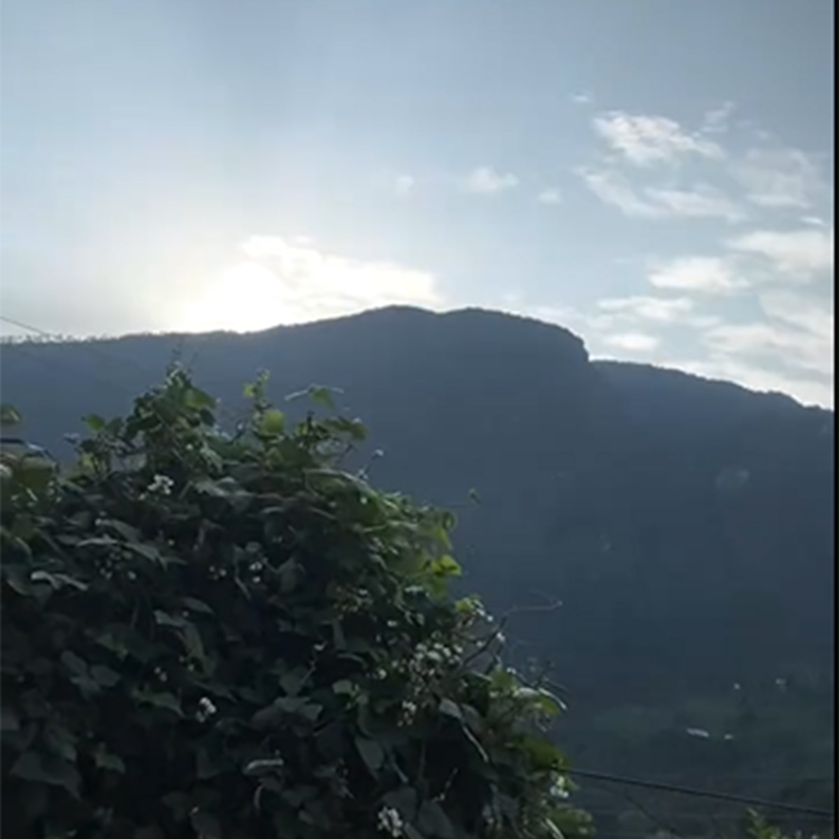 हिमानी शिवपुरी का घर