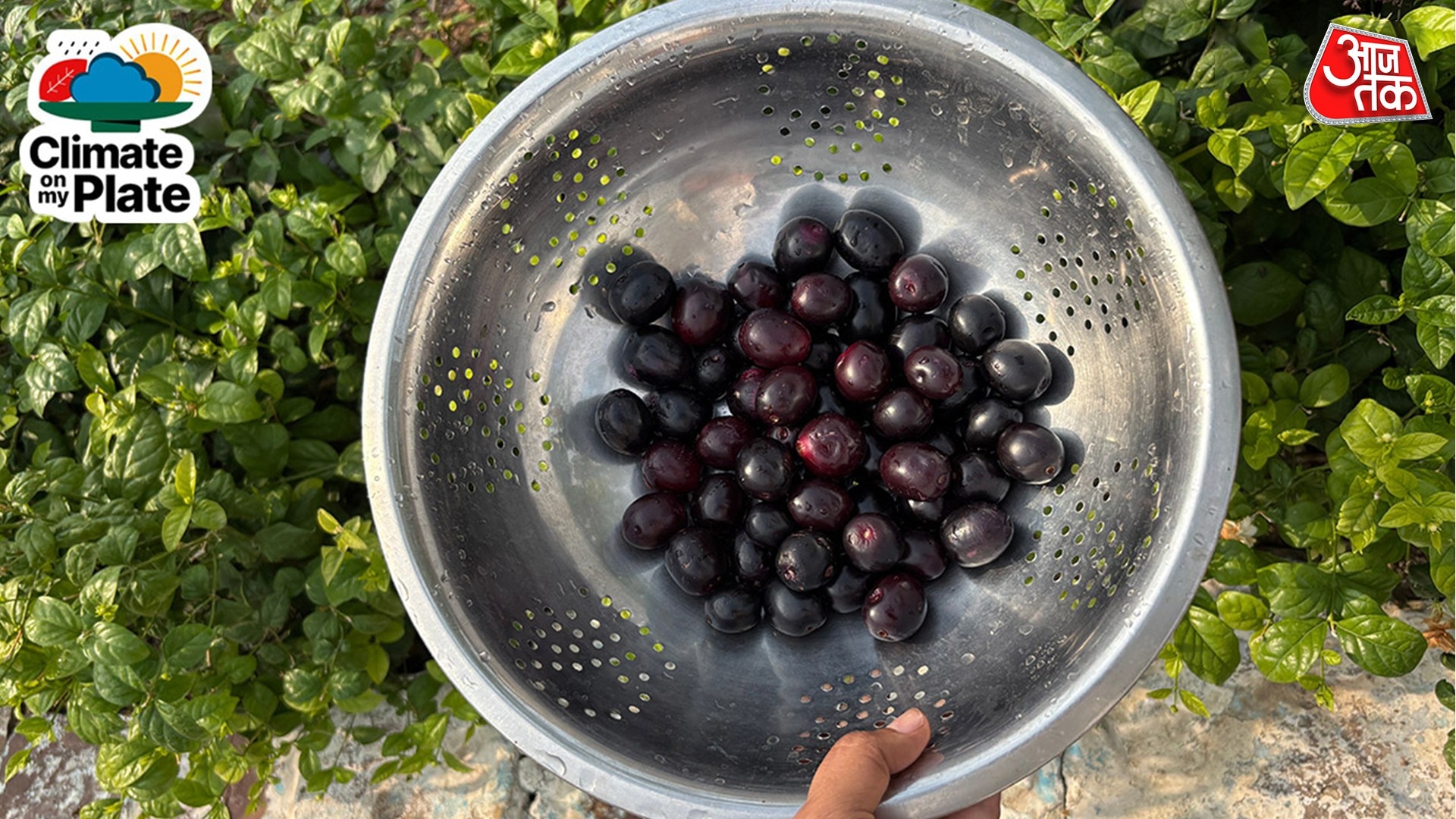 Jamun is rich in anthocyanins. (Photo: Unsplash/Pexels)