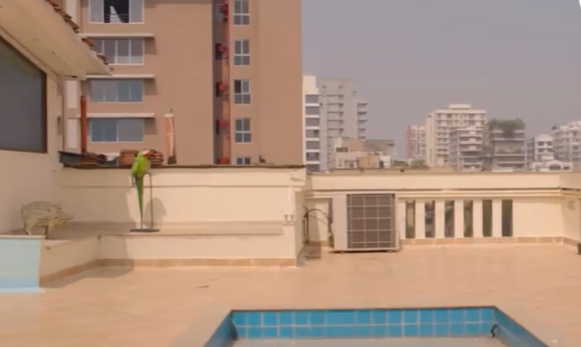  कटरीना कैफ 