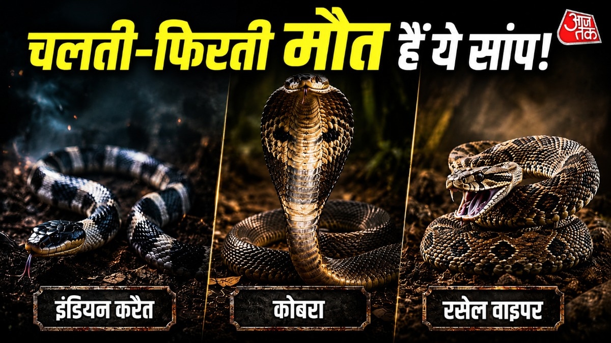 करैत, कोबरा या रसेल वाइपर... कौन सा सांप सबसे जहरीला? जान ले