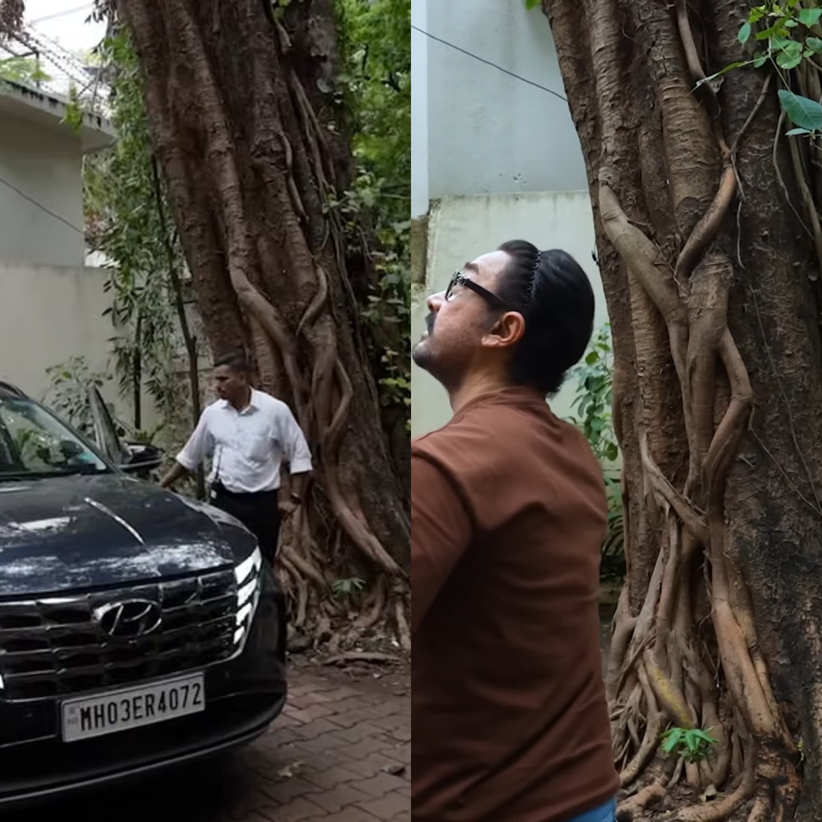 आमिर की अम्मी ने लगाया था पेड़