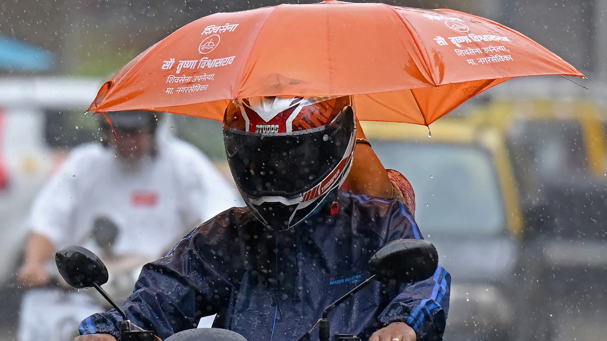 Rain